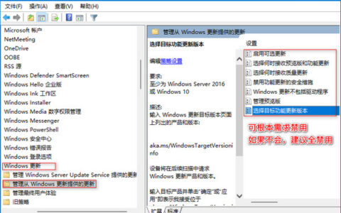 Windows 11组策略能关闭自动更新吗？具体步骤是什么？