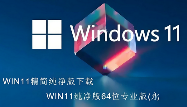 精简版Windows 11