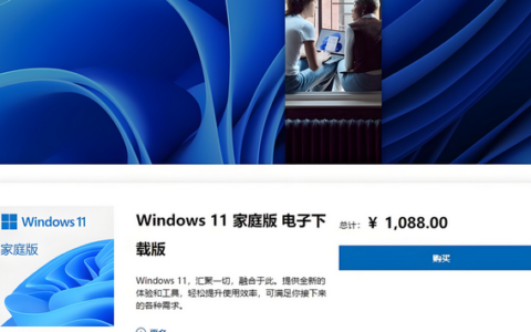 win11系统哪个版本好用？Win11系统版本优点与适用场景详解