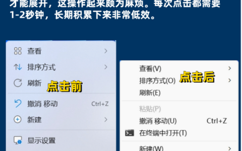 Win11直接显示更多选项怎么设置？操作指南！