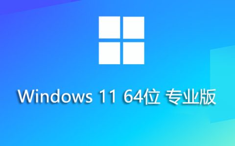 Windows 11 中文纯净版下载指南：无捆绑、更安全的选择