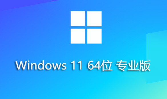 Windows 11 中文纯净版下载指南：无捆绑、更安全的选择